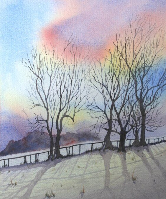 Bob Baker-Member Profile