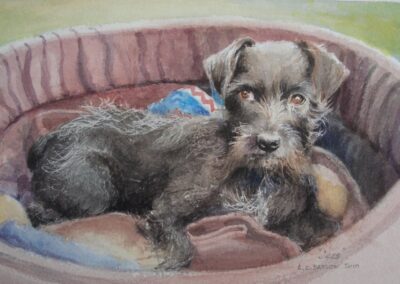 Jess. Watercolour. 25 x 20 cm.
