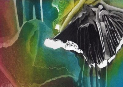 Toadstool. Etching & aquatint. 29.5 x 24.5 cm. £85 unframed.