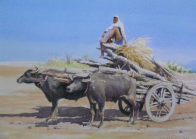 Indian Bullock Cart. Watercolour. 25 20 cm. Sold.