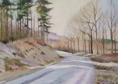 Winter Pathway, Guisborough Woods. Pastel. 30cm x 40cm. £190.00. Framed.