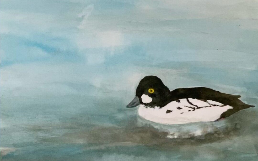 John Kay-Gallery Page