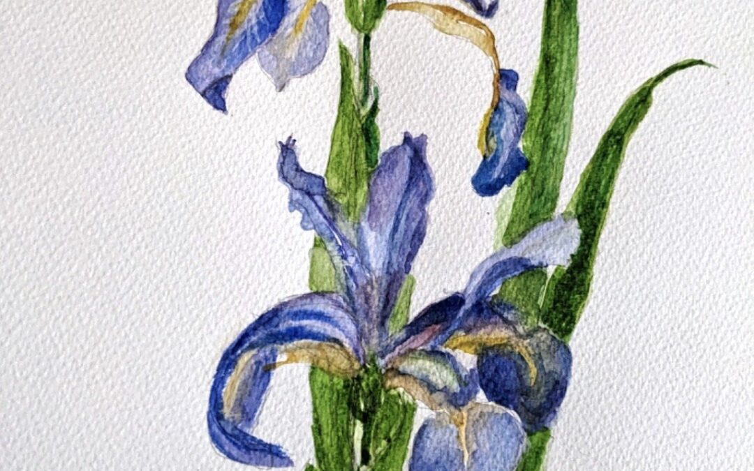 Margaret Harrison-Gallery Page